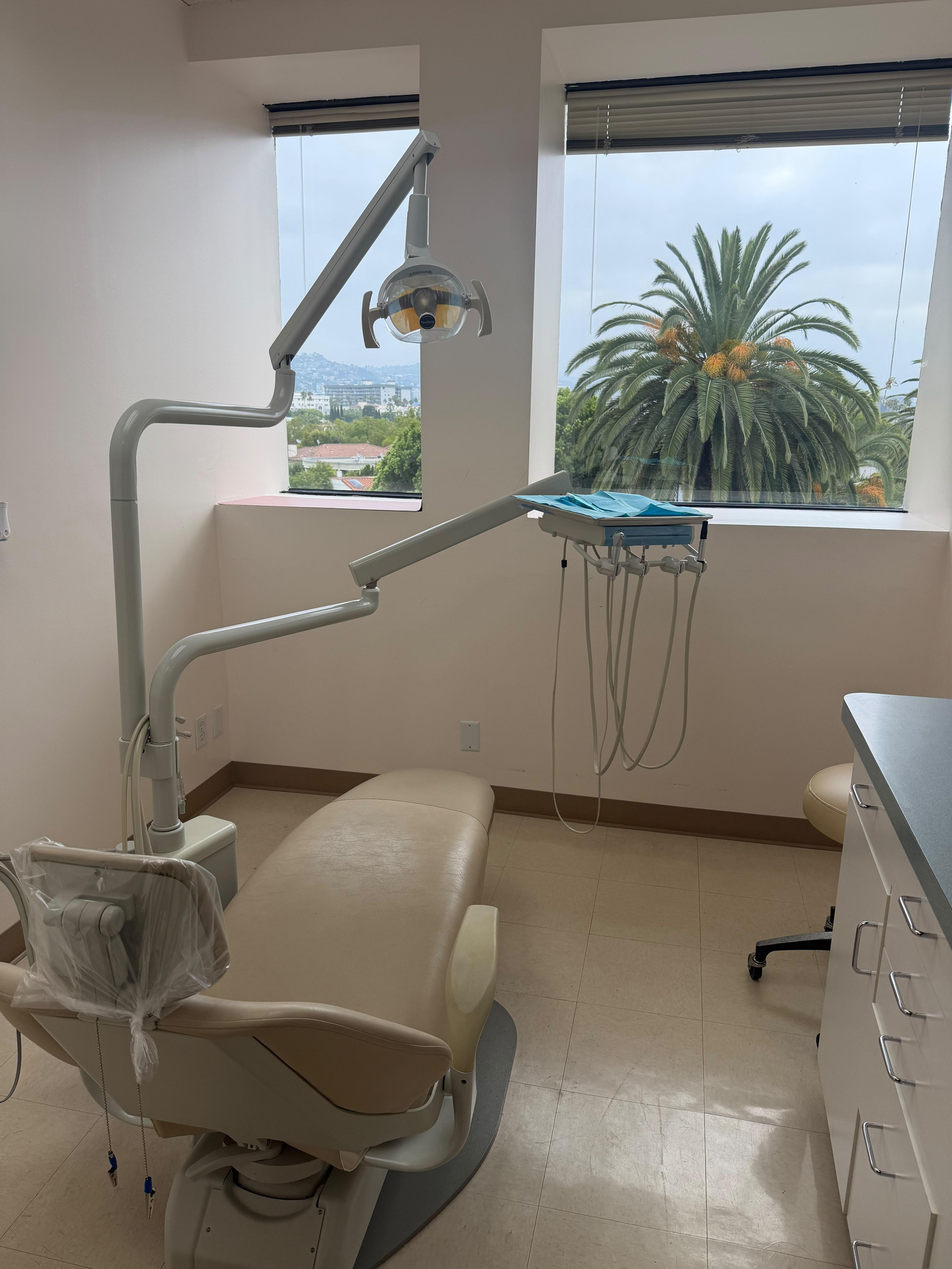 Treatment room with palm view